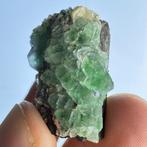 Fluoriet op schorl kristal mineraal Erongo zwarte toermalijn, Ophalen of Verzenden, Mineraal