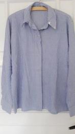 VERSE blouse 40 blauw/wit, Ophalen of Verzenden, Zo goed als nieuw, Maat 38/40 (M)