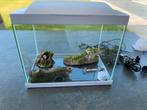 Aquarium, Dieren en Toebehoren, Vissen | Aquaria en Toebehoren, Ophalen, Zo goed als nieuw, Leeg aquarium