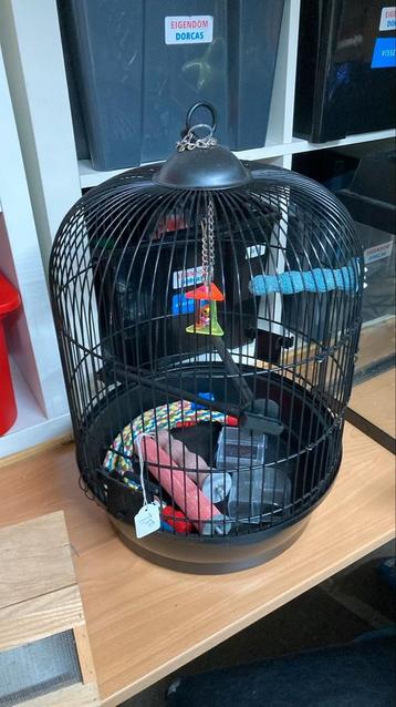 Robde vogelkooi beschikbaar voor biedingen
