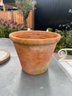 Bloempot.  Belgische, 25 tot 40 cm, Rond, Ophalen of Verzenden, Zo goed als nieuw
