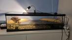 Terrarium + accessoires, Ophalen, Terrarium of Paludarium