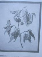 Groot duidelijk borduur telpatroon vruchtentak kers, Ophalen of Verzenden, Nieuw, Handborduren, Patroon