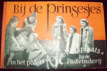 Boek Bij de Prinsesjes beschikbaar voor biedingen
