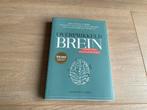 Overprikkeld Brein - Meer rust en balans in 10 weken, Ophalen of Verzenden, Nieuw, Overige onderwerpen