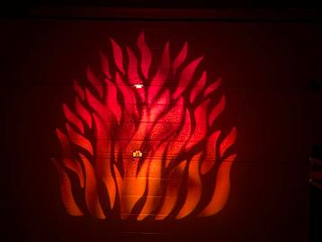 American DJ Fire Fox Vuur projectie lichtEffect beschikbaar voor biedingen