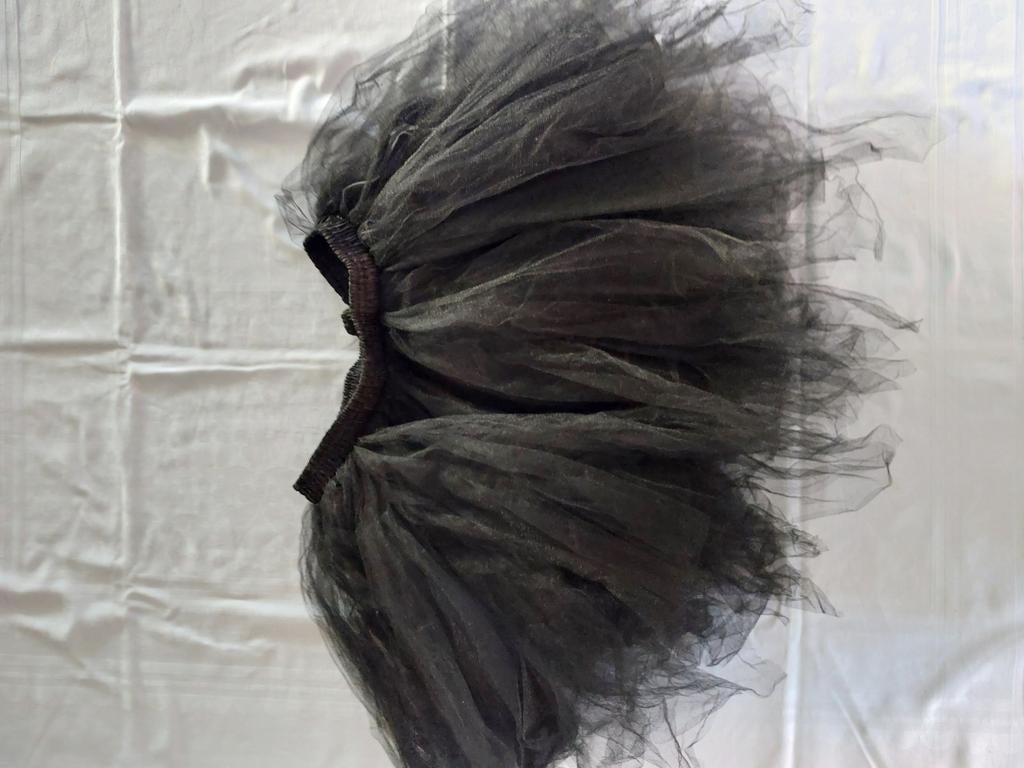 Zwarte petticoat maat 36, Kleding | Dames, Carnavalskleding en Feestkleding, Carnaval, Nieuw, Ophalen of Verzenden, Kleding