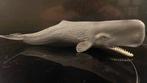 Schleich Marinelife: Potvis walvis, Verzamelen, Ophalen of Verzenden, Zo goed als nieuw, Paard, Beeldje of Figuurtje