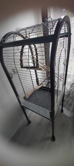 Vogelkooi, Ophalen of Verzenden