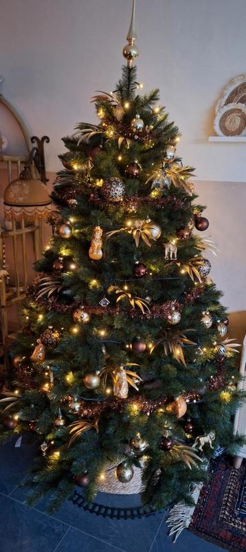 Kerstboom  beschikbaar voor biedingen