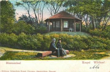 (380-310-021) Bloemendaal Koepel Wildhof beschikbaar voor biedingen