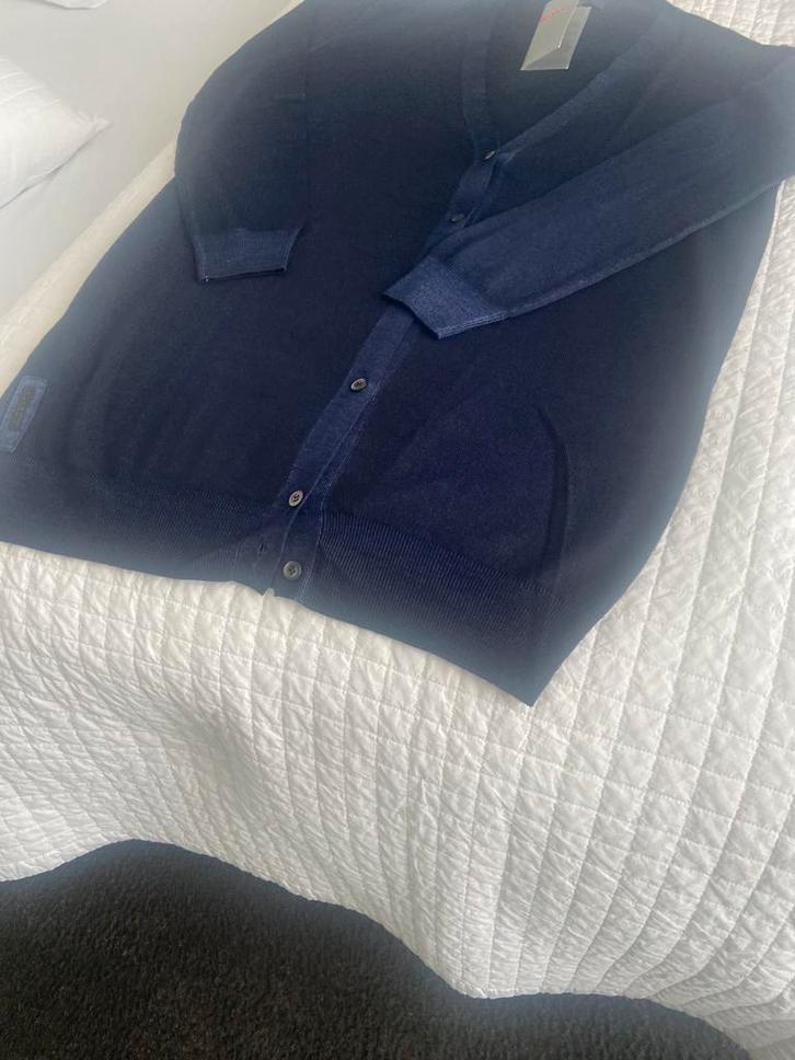 Prada vest.  Nieuw., Kleding | Dames, Truien en Vesten, Nieuw, Maat 42/44 (L), Blauw, Verzenden