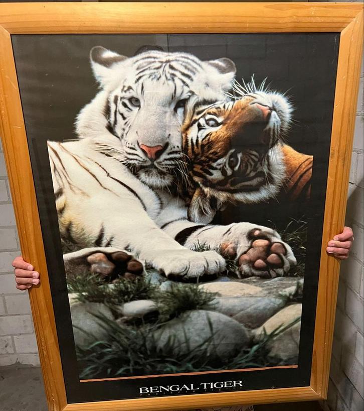 Nieuwe Lijst - 68x94 cm - Perfecte Staat!, Antiek en Kunst, Kunst | Tekeningen en Foto's, Ophalen of Verzenden