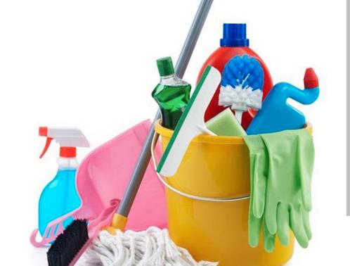Ervaren en betrouwbare schoonmaakster beschikbaar, Vacatures, Vacatures | Schoonmaak en Facilitaire diensten, Vanaf 10 jaar, Overige vormen