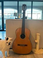 Giannini Klassieke Gitaar 1973, Ophalen, Gebruikt, Klassieke of Spaanse gitaar