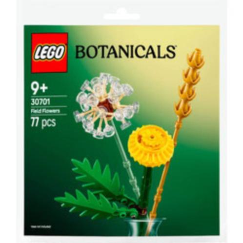 Nieuw: Lego Botanicals 30701 field flowers (veldbloemen)., Kinderen en Baby's, Speelgoed | Duplo en Lego, Nieuw, Lego, Complete set