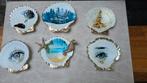 Seashells made by HV, Ophalen of Verzenden, Nieuw