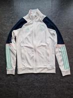 Adidas/Ajax trainingspak kindermaat 164 wit/blauw, Blauw, Overige maten, Ophalen of Verzenden, Adidas