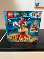 LEGO Harry Potter Sets - Compleet met Doos!, Kinderen en Baby's, Speelgoed | Duplo en Lego, Ophalen of Verzenden, Zo goed als nieuw