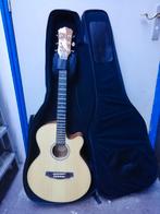 Fretlight FG-529 Pro Acoustic-Electric oefengitaar, Ophalen, Zo goed als nieuw, Klassieke of Spaanse gitaar, Met koffer