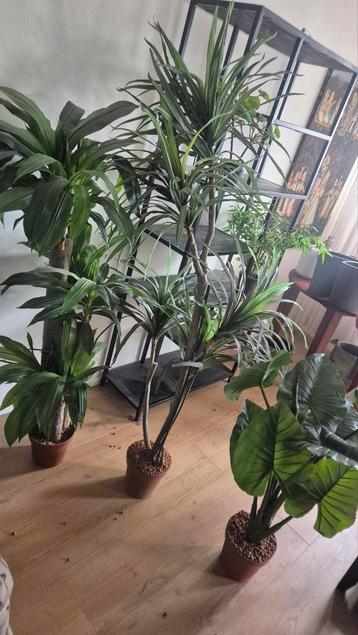 5 stuks kunst planten beschikbaar voor biedingen