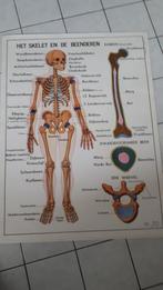 Het menselijk lichaam, Ophalen of Verzenden, Natuur en Biologie