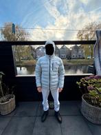 Nieuwe Winterjas THE NORTH FACE grijs. Maat L., Maat 52/54 (L), Nieuw, Ophalen of Verzenden, Grijs