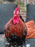 Cruches de haan, Dieren en Toebehoren, Pluimvee, Mannelijk, Kip