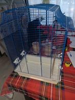 Parkieten kooi, Ophalen, Zo goed als nieuw, Metaal, Vogelkooi