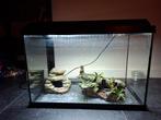 Net aquarium nog in goede staat en 100% zeker niet lek!, Dieren en Toebehoren, Ophalen, Zo goed als nieuw, Leeg aquarium
