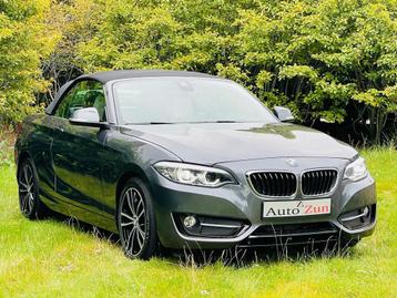 BMW 2-serie Cabrio 230i High Executive/Navi/Leder(Bij 2020) beschikbaar voor biedingen