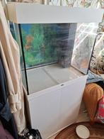 Juwel aguarium, Dieren en Toebehoren, Vissen | Aquaria en Toebehoren, Ophalen, Leeg aquarium