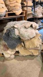 Schapenvachten B-KEUZE. 3 STUKS, Gebruikt, 50 tot 100 cm, Etten-Leur, DJT@dejuistetoon.eu
