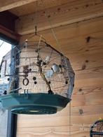 Mooie kanariekooi merk omlet, Ophalen, Hout, Vogelkooi