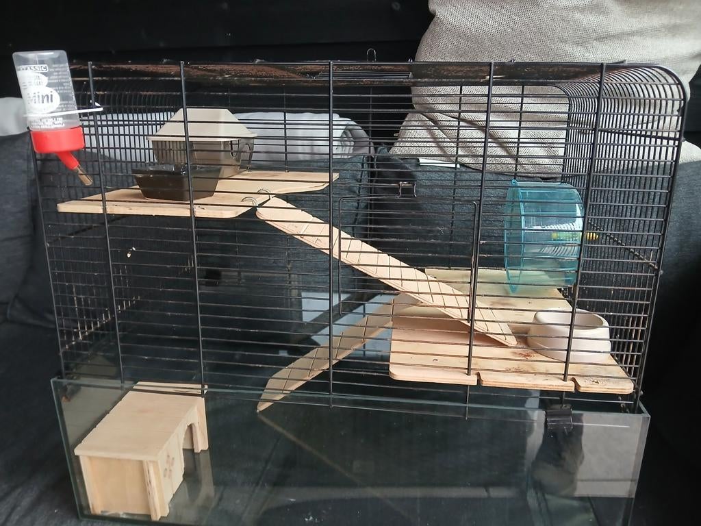 Hamster hok, Minder dan 75 cm, Ophalen, Minder dan 60 cm, Hok