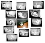 16mm film Betty Boop Pudgy Making Friends geluid - redelijk, Ophalen of Verzenden, 16mm film