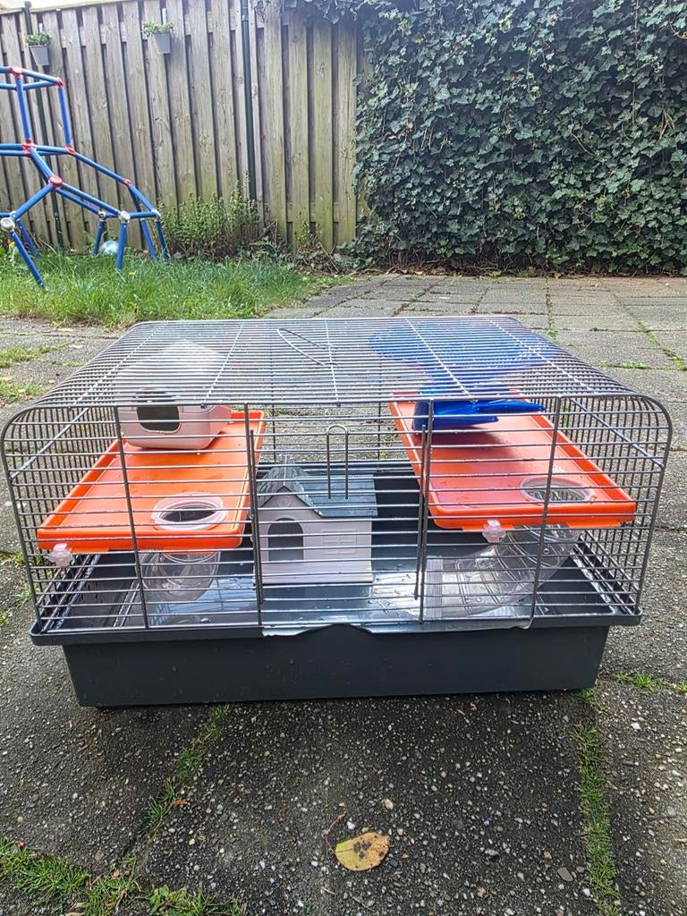 Hamsterkooi, Minder dan 60 cm, Kooi, Minder dan 75 cm, Ophalen of Verzenden