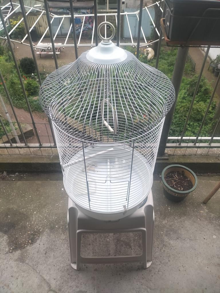 Parkiet kooi, Ophalen, Zo goed als nieuw, Metaal, Vogelkooi