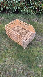 4 broodkratten, Ophalen, Doos, 100 cm of meer, 60 cm of meer