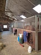 Paardenstal paardenstallen paardenbox, Dieren en Toebehoren