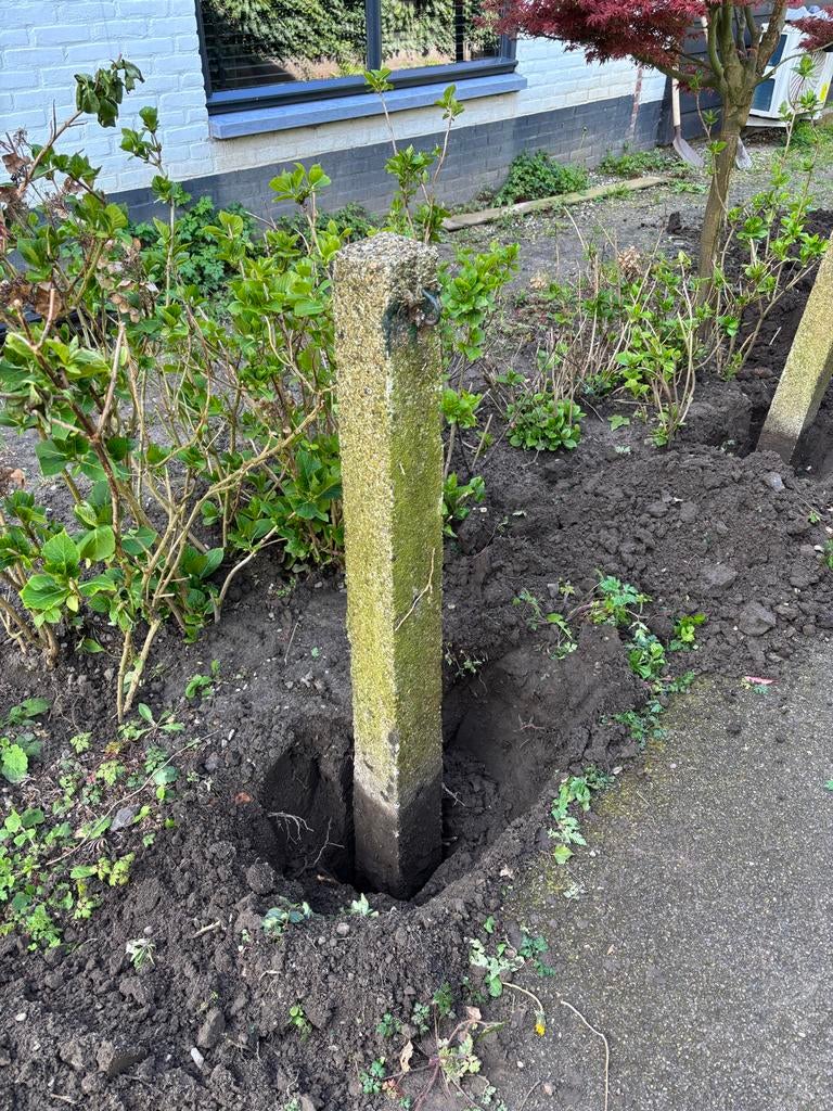 Betonnen heiningpalen - Duurzaam en stevig, Tuin en Terras, Palen, Balken en Planken, Ophalen, Gebruikt, 180 tot 250 cm, Palen