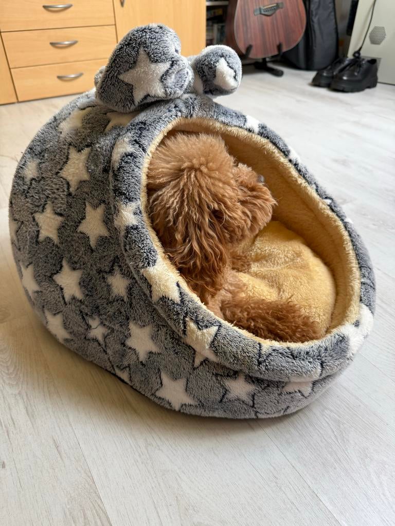 Honden bedje, Dieren en Toebehoren, Ophalen