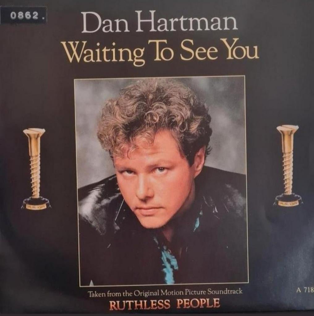 DAN HARTMAN  - WAITING TO SEE YOU, Cd's en Dvd's, Vinyl Singles, Ophalen of Verzenden, Gebruikt, Pop