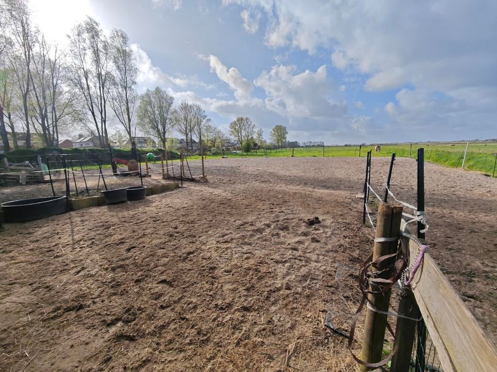 24/7 buitenplek met inloopstal aan huis, Dieren en Toebehoren, Weidegang, 1 paard of pony