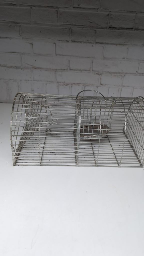 Rattenvang kooi, Dieren en Toebehoren, Knaagdieren en Konijnen | Hokken en Kooien, Ophalen, 110 cm of meer, Zo goed als nieuw