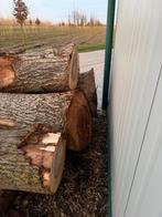 4x walnoten stammen voor 1400 euro, Ophalen