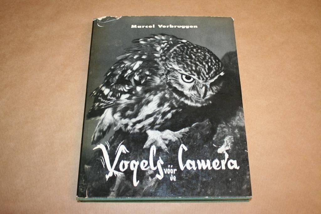 Vogels vóór de Camera - Marcel Verbruggen 1958, Ophalen of Verzenden, Gelezen, Vogels