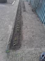 Aardbeien planten doordragers 50 cent, Ophalen, Zo goed als nieuw, Aluminium