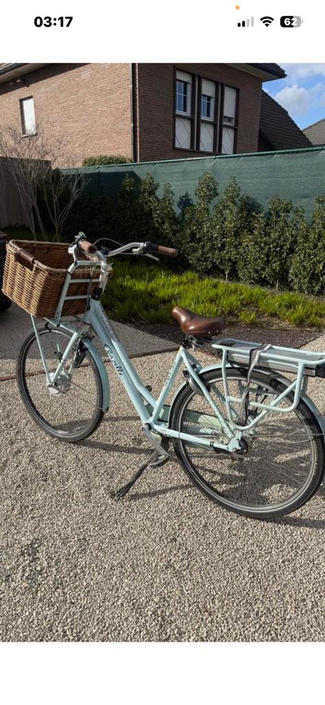 Gazelle Miss grace 7 NEXUS 53/57 CM, 51 tot 55 cm, Ophalen of Verzenden, Zo goed als nieuw, Gazelle