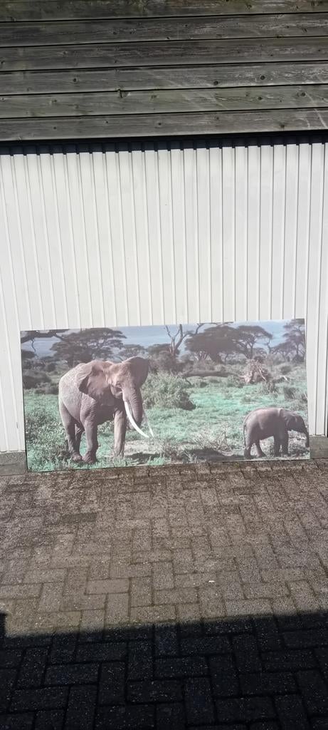Foto print, Ophalen, Print, 75 cm of meer